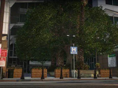 LS Central Hospital decorations [SP | FiveM Ready | YMAP] 1.0