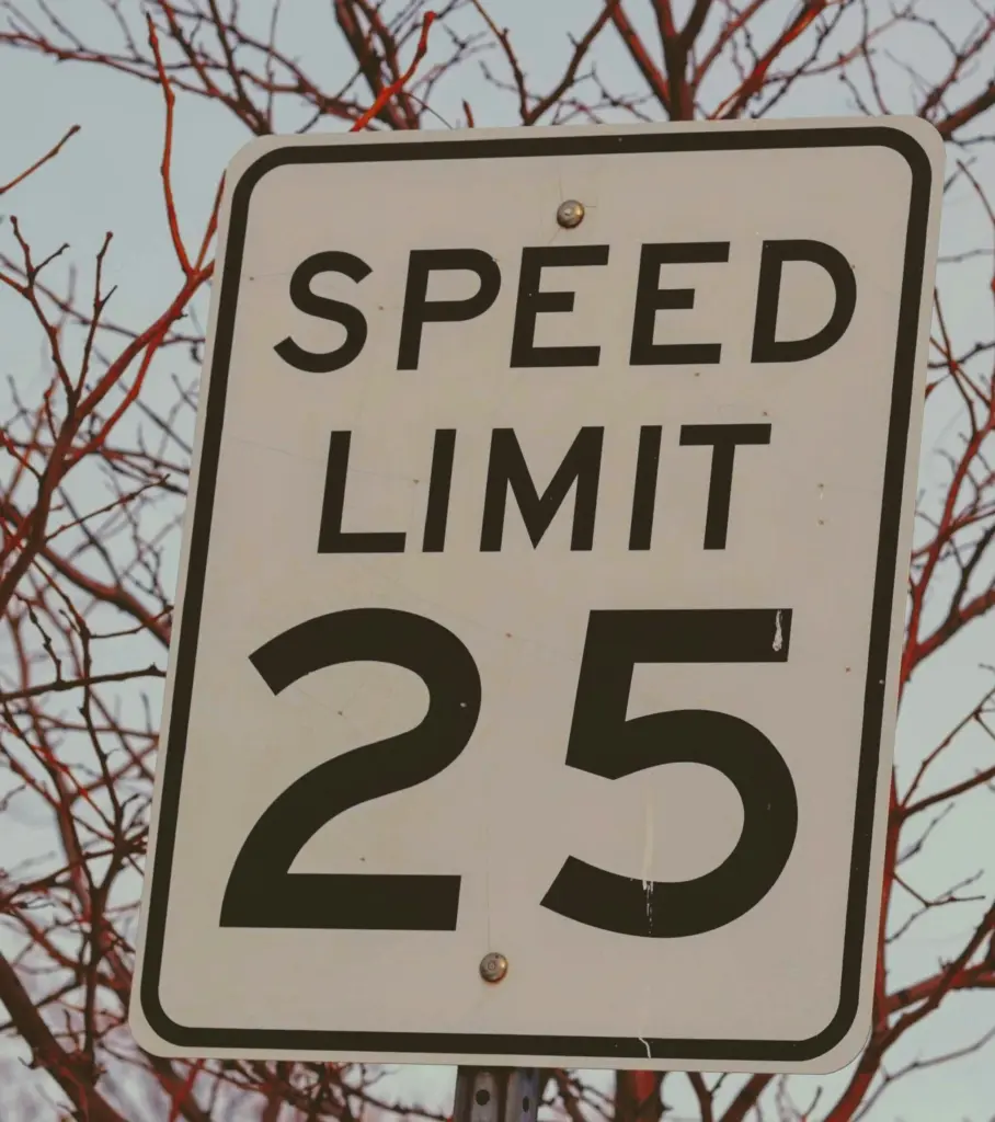 MaxSpeed 1.0
