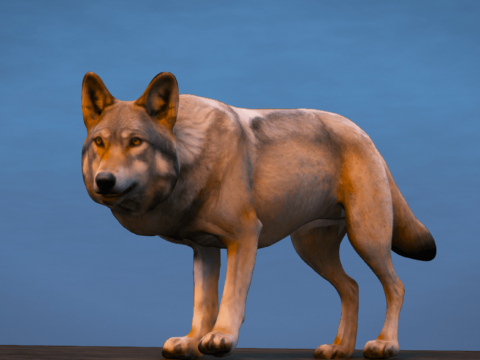 Wolf [Add-On/Replace] V1.0