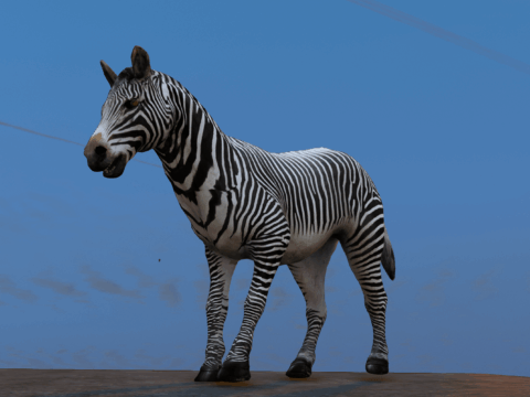 Zebra [Add-On/Replace] V1.0