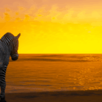 Zebra [Add-On/Replace] V1.0