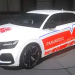 2021 Audi RSQ8 EMS