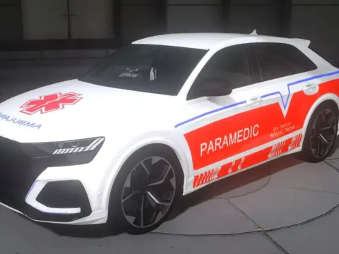 2021 Audi RSQ8 EMS