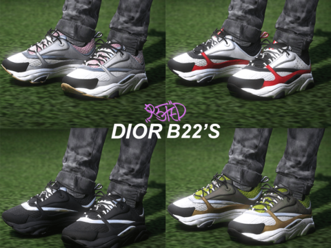 Dior B22