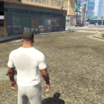 Dropshipping Business 1.03