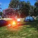 East Vinewood Park6