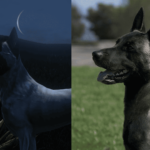 German Shepherd / Malinois | Custom Textures V1.0