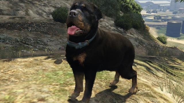 Immortal Animals 1.0