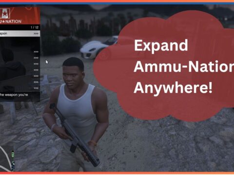 More Ammu-Nation