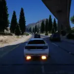Trees on Easthighway [YMAP] [FiveM] [SP] V1.0