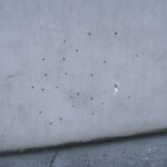 Realistic Bullet Hole Size