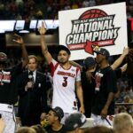 Peyton Siva 2013 Louisville Basketball Jersey