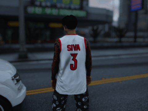 Peyton Siva 2013 Louisville Basketball Jersey