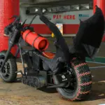 Dragon Bike Flame2
