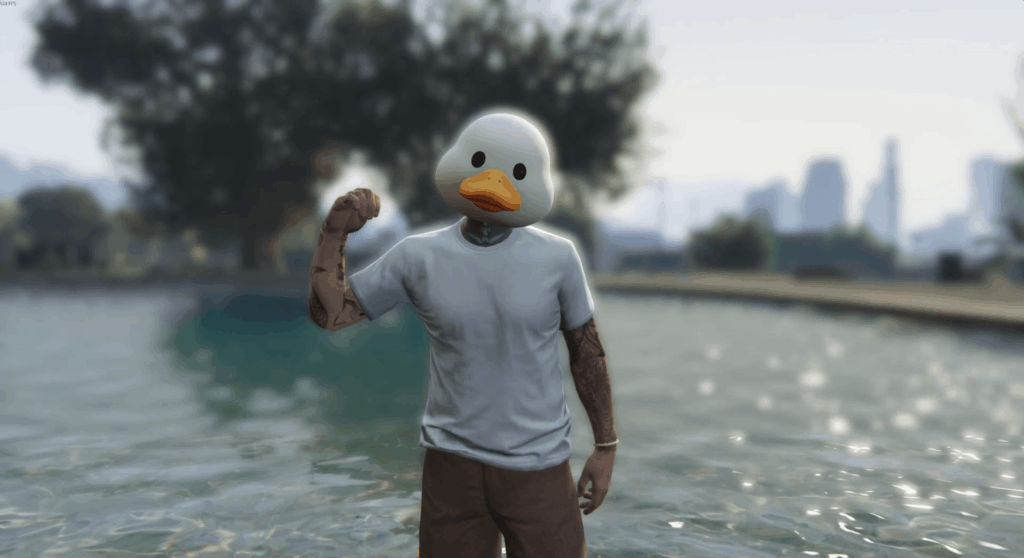 Duck Mask 1.0