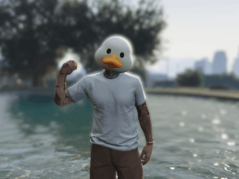 Duck Mask 1.0
