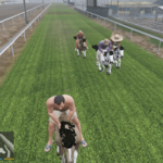 Horse Ride4