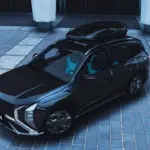 Hyundai Mufasa 20246