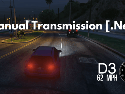 Manual Transmission