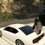 Speed Limiter V1.0 SpeedLimiter 1.0