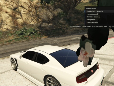SpeedLimiter 1.0