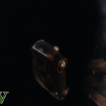 TornadoV6