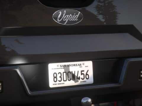 Dealership Plate