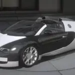 2011 Bugatti Veyron With F1 Plates