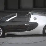2011 Bugatti Veyron With F1 Plates2