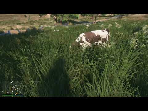Animal Blips 1.0