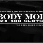 Bodymod Slots - 2x 100 Slots 1.0