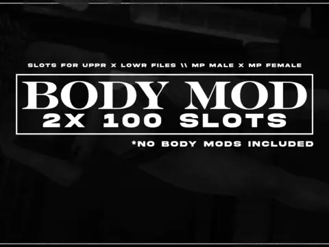 Bodymod Slots - 2x 100 Slots 1.0