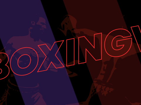 BoxingV 1.0 Beta