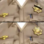 CHP Badges [Add-On] [Singleplayer / FiveM]