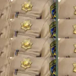 CHP Badges [Add-On] [Singleplayer / FiveM]