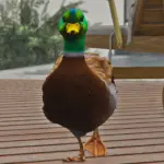 Duck (Replace) V1.0