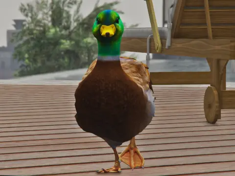 Duck (Replace) V1.0