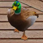 Duck (Replace) V1.0