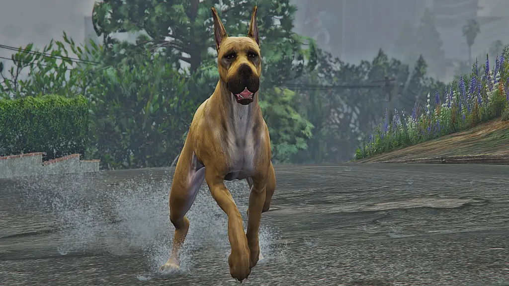 Great Dane (Replace) 1.0