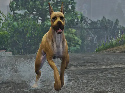 Great Dane (Replace) 1.0