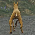 Great Dane3