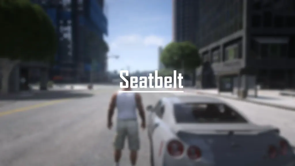 Seatbelt 1.0