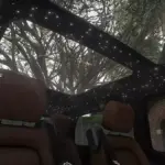 2020 Mercedes-Benz V-Class V633