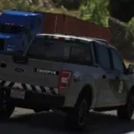 Ford F-150 AZDPS2