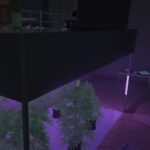 [MLO] Secret Weed Plantation / Secret Mafia Base #2 [Fivem/Addon-SP] V1.0