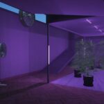 [MLO] Secret Weed Plantation / Secret Mafia Base #2 [Fivem/Addon-SP] V1.0