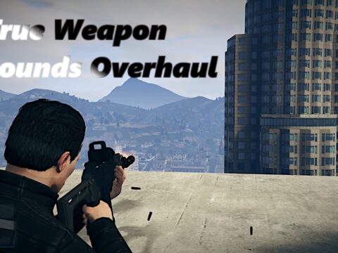 True Weapon Sounds Overhaul 1.1