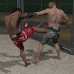 UFC Shorts and Gloves for MP Male 1.04