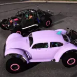 Volkswagen Beatle Jaws4