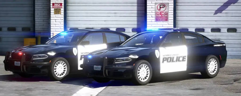 2018 Dodge Charger Senora Valley PD